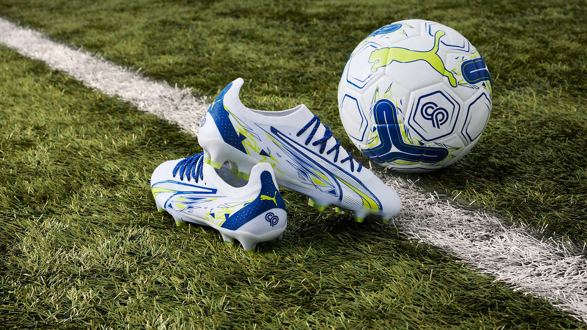 行为似乎与 行为似乎与