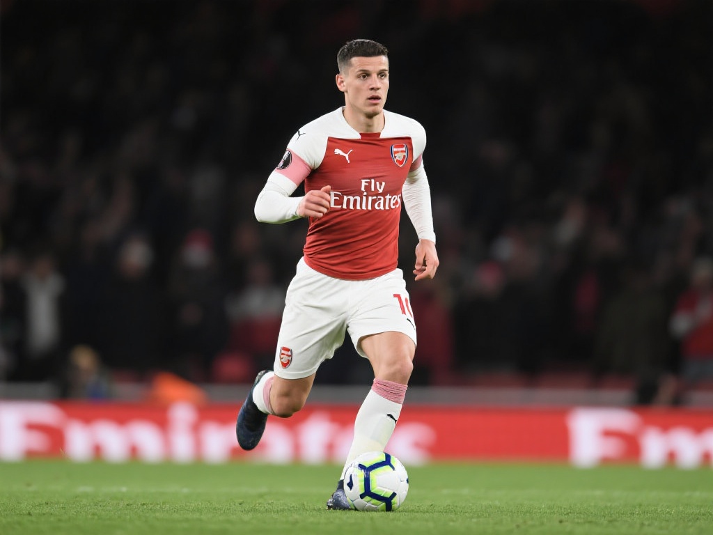 其中一些场 其中一些场